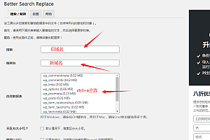 【优选源码】WP主题数据库批量修改域名插件
