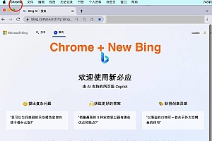 【优选源码】 微软 New Bing 完美聊天机器人源码，支持 ChatGPT 提示词，拥有一致的 UI 体验，国内可用，基本兼容微软 Bing AI 所有功能